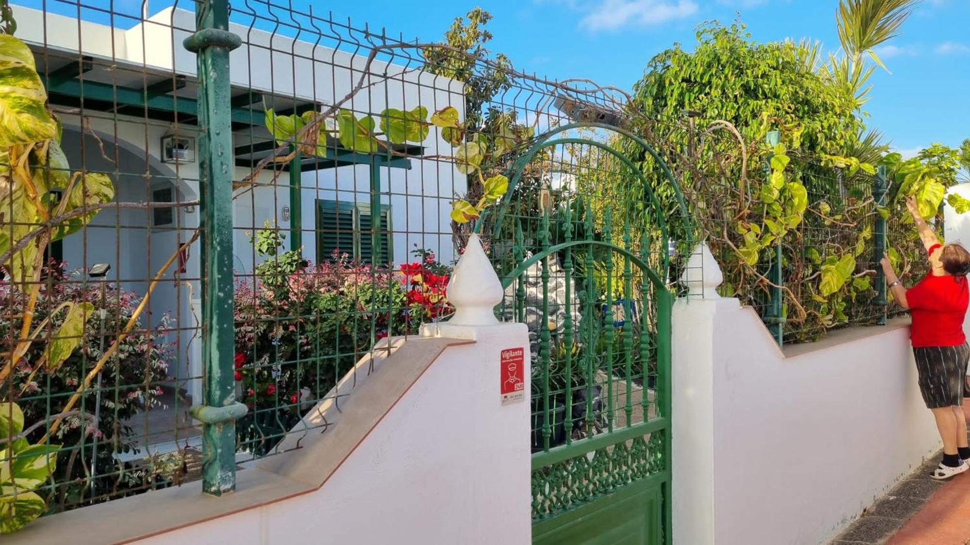 Apartamento Bungalows Isabel Maria ปลายาบลังกา ภายนอก รูปภาพ